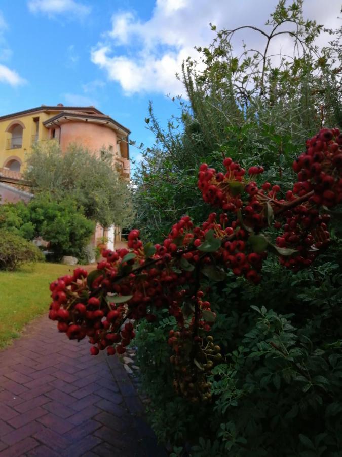 Locanda Tipica Sa Corte Oliena Zewnętrze zdjęcie